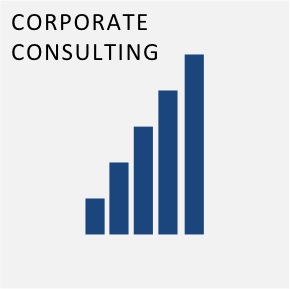 Consulting Services